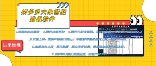 拼多多店群生態(tài)全解析 軟件代理、后臺招商與加盟機遇