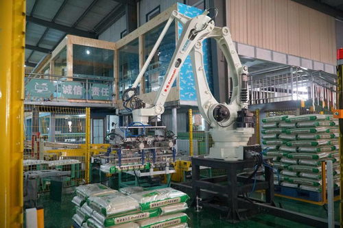 軟件技術開發賦能寧夏綠色食品產業，激發農業新活力